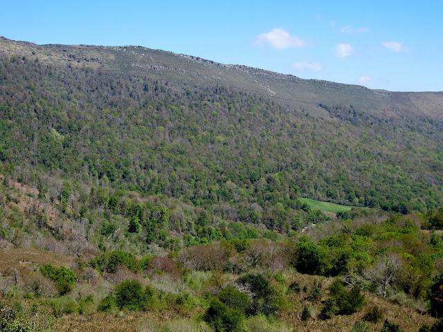LOS SALTAPRAOS RUENTE A MONTE AÁ
