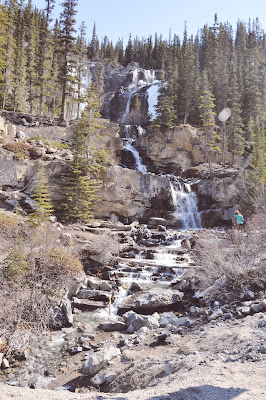 Tangle Creek Falls, Jasper National Park, Alberta, Canada 