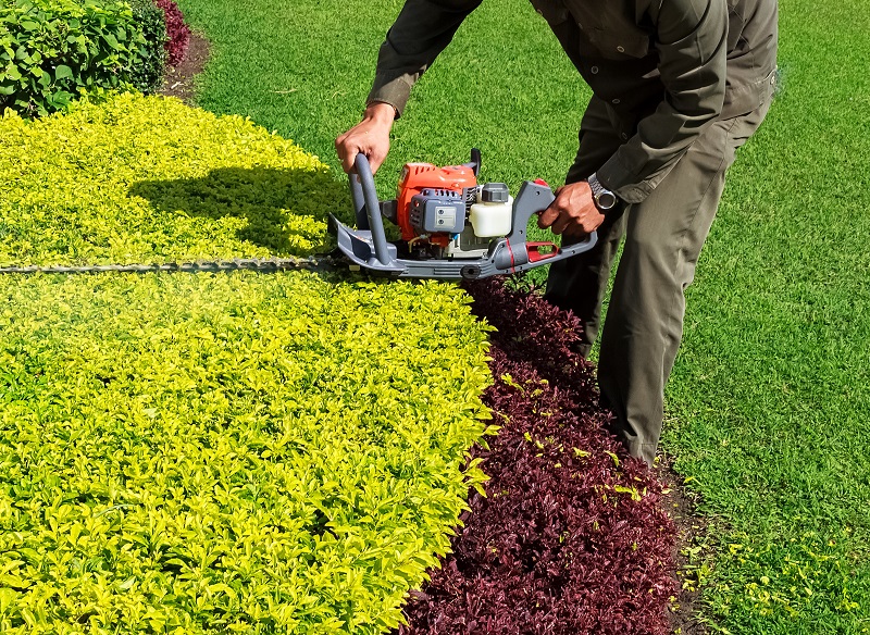Advantages Obtained By Using The Hedge Trimmers In Gardens Australia