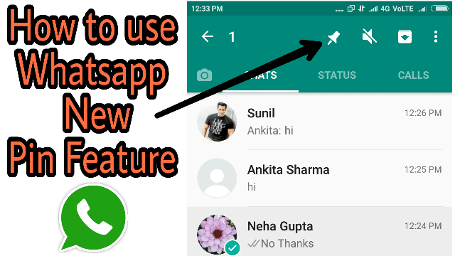how to apply pin chats in chat