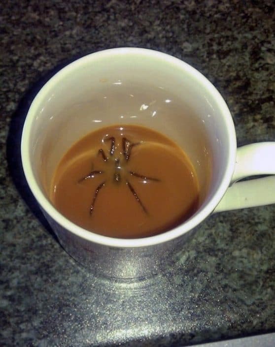 10 imagens capazes de tirar o fôlego a qualquer um 10 imagens capazes de tirar o fôlego a qualquer um