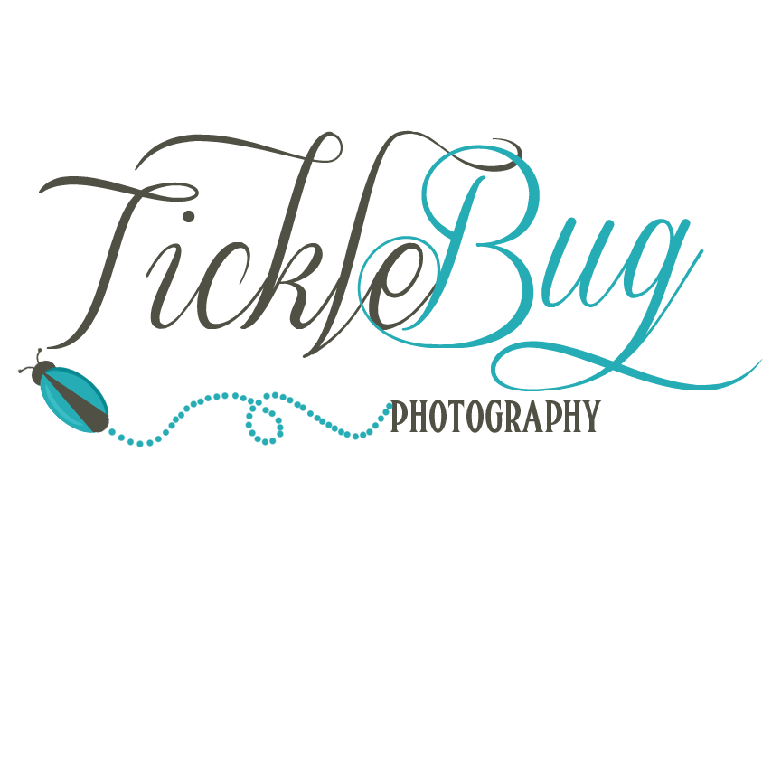Tickle Bug Photography