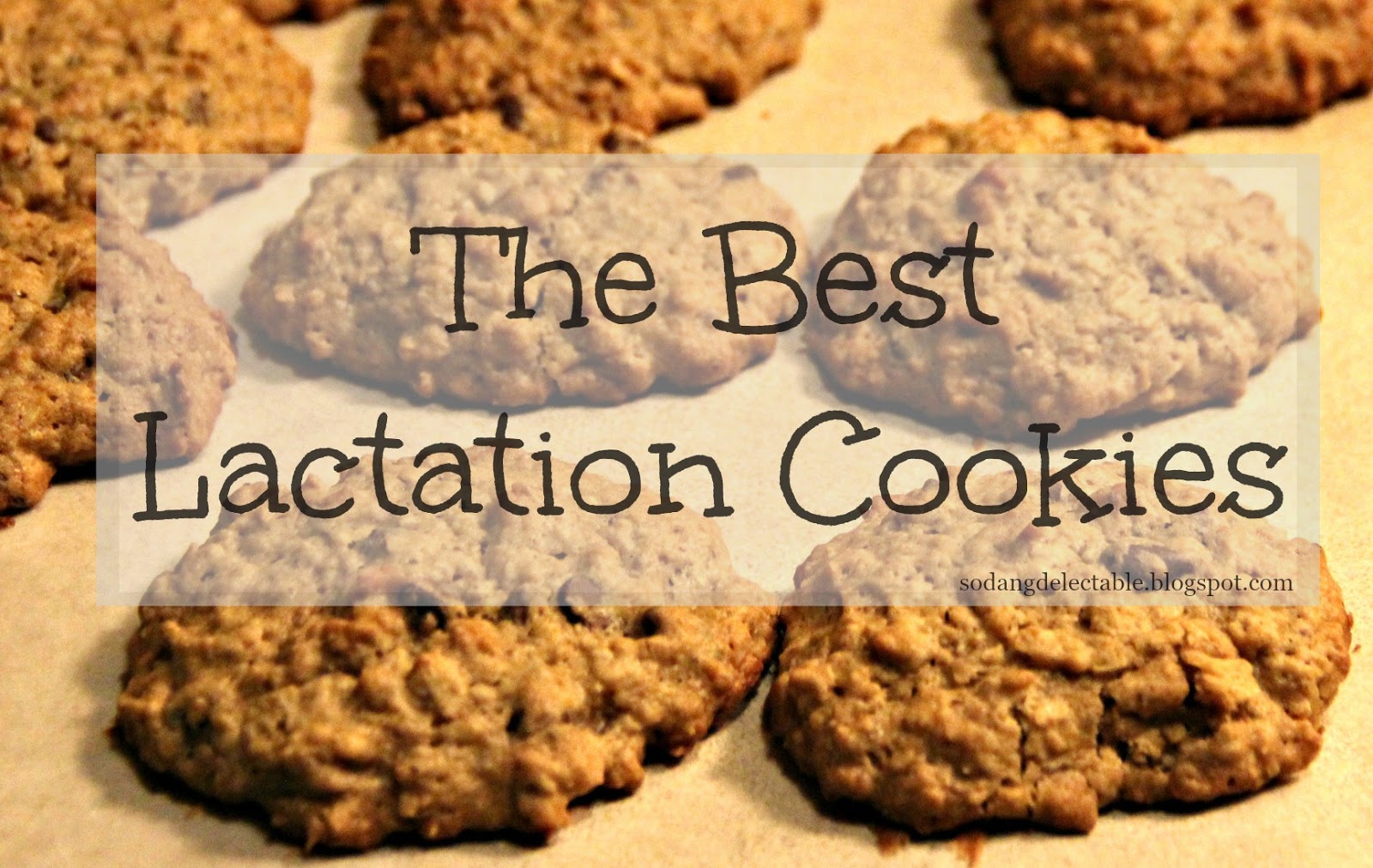 So Dang Delectable The Best Lactation Cookie Recipe