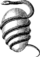 Phanes Heart encircled by a serpent