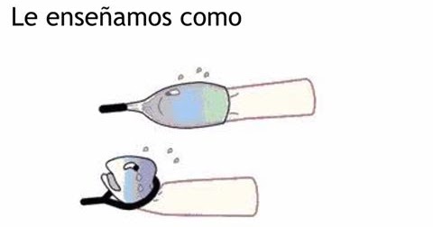 Como aumentar el miembro viril en las casas