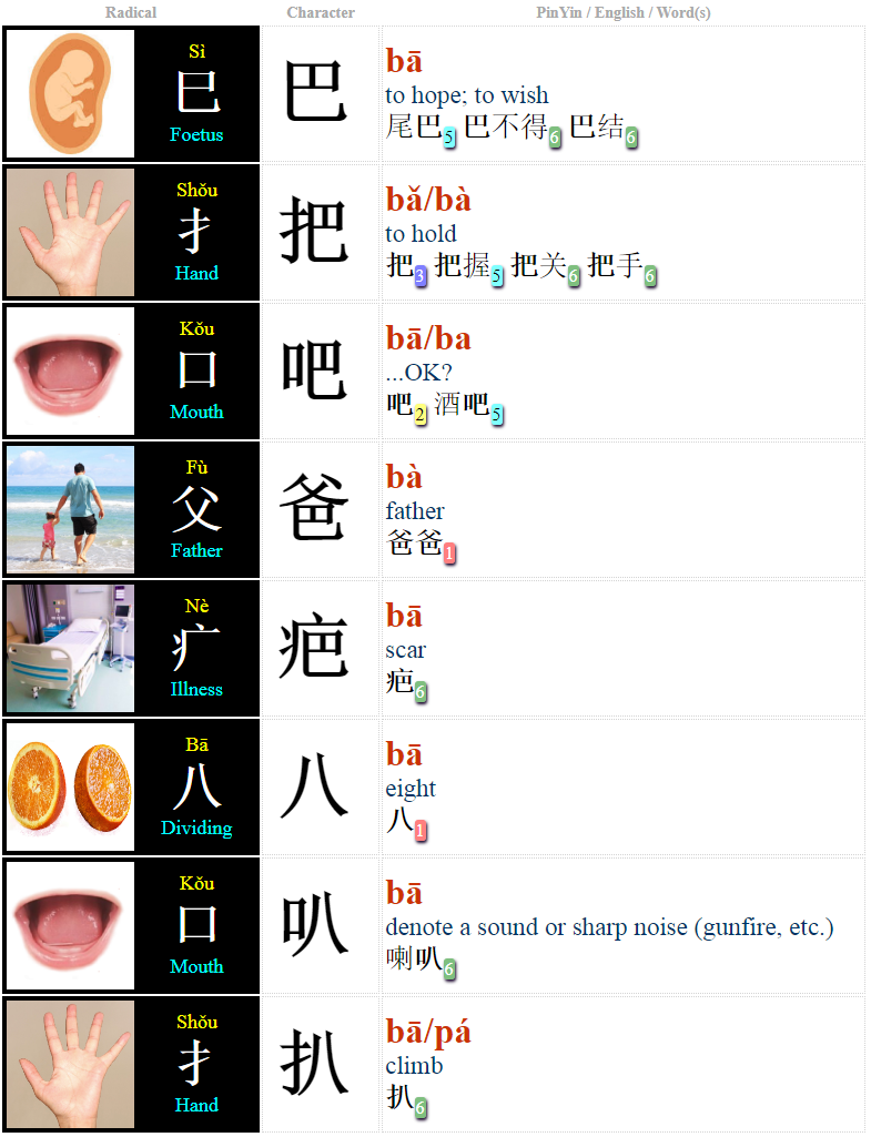 每日中文 Daily Zhongwen Chinese Syllable 'ba' (12 Characters + Words)