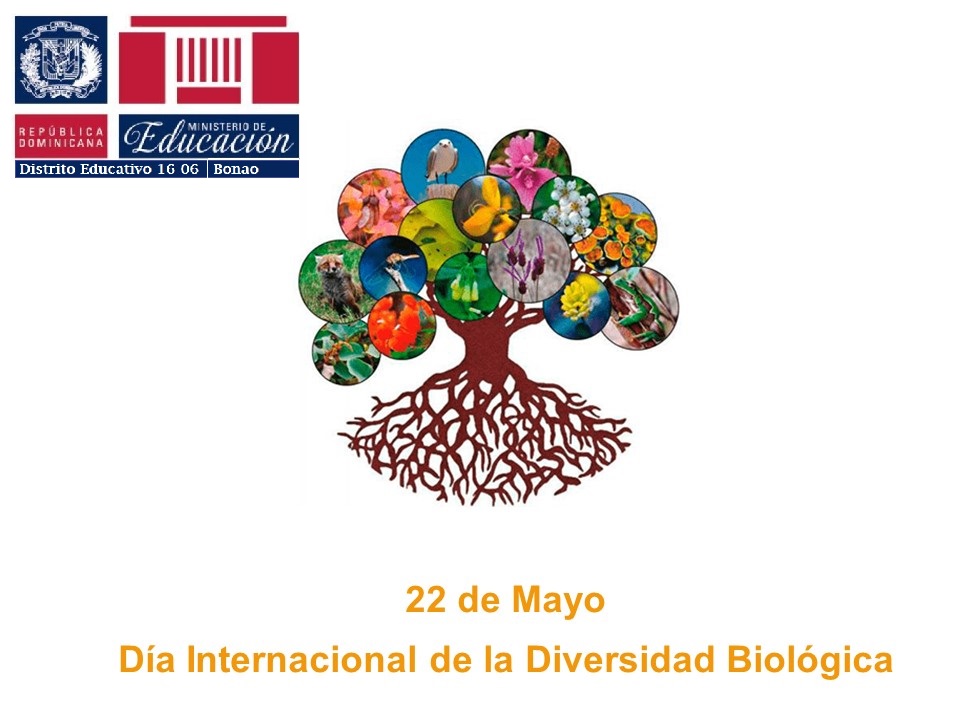 Efemérides 22 de mayo Día Internacional