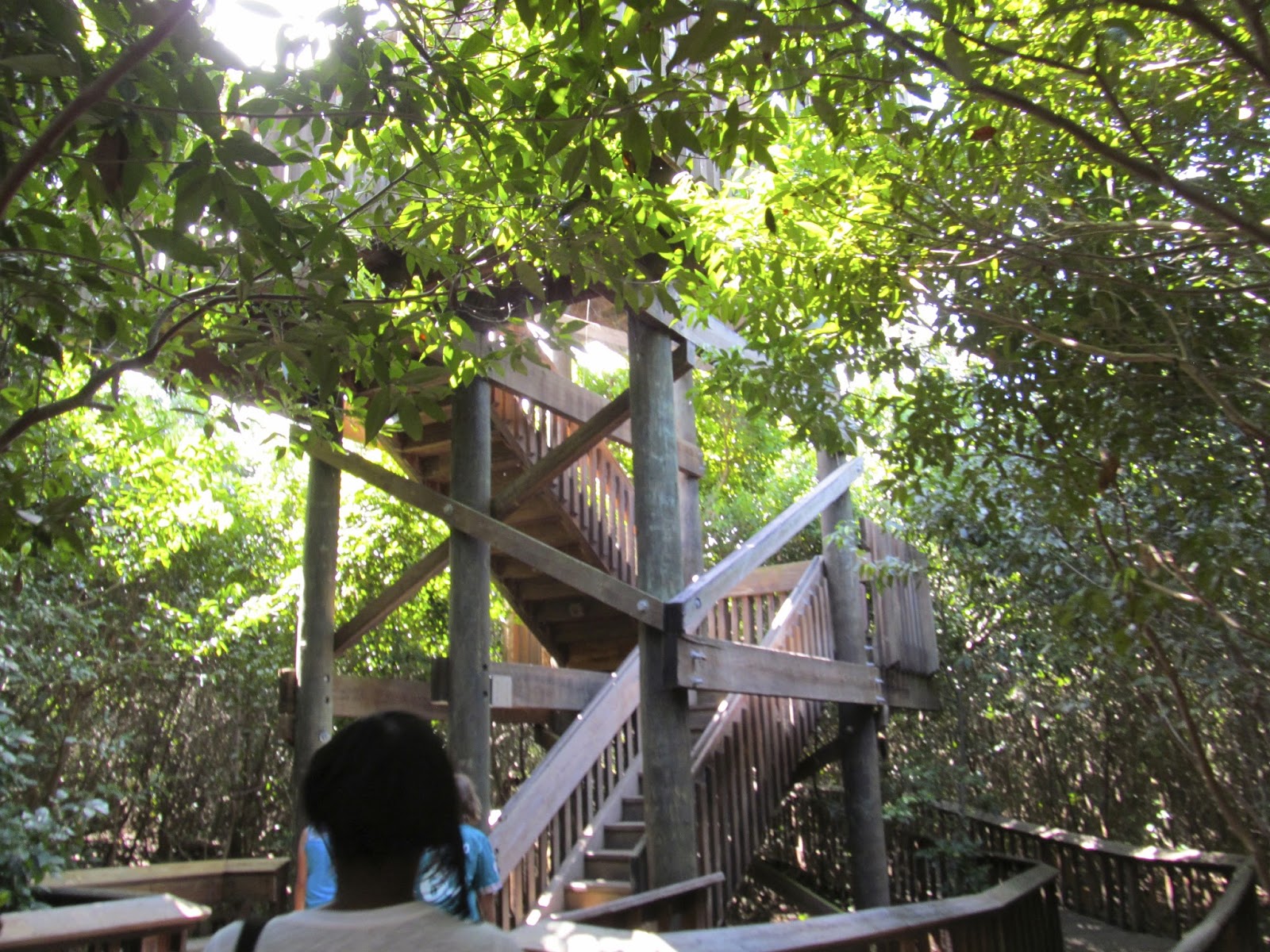 Observation Tower at Gumbo Limbo Nature Center http://www.ouroutdoortravels.blogspot.com