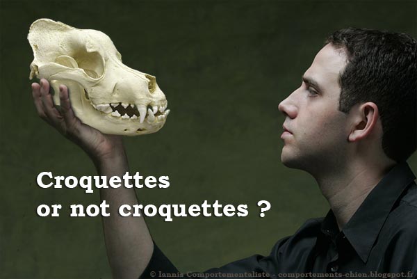 Croquettes or not croquettes ?
