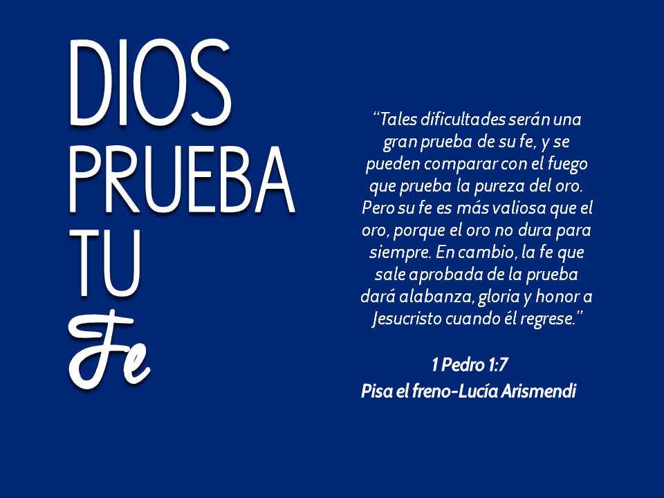 Pisa el Freno julio 2014