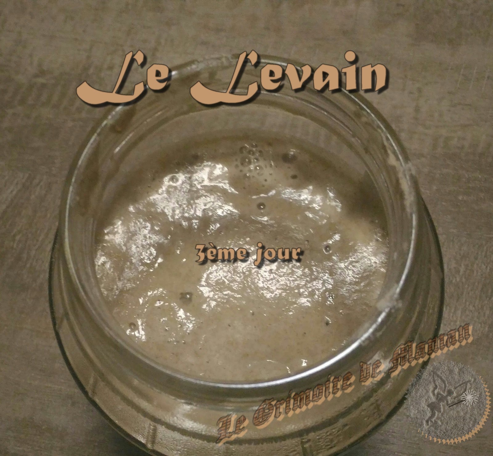 Le Levain Naturel Levain Liquide