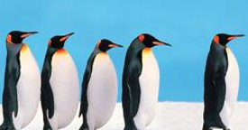 Migliori Aforismi Frasi Sulla Leadership