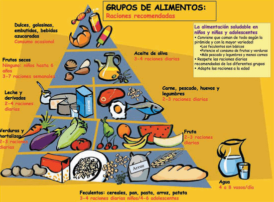 Comida saludable informacion
