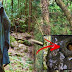 Never Visit This Forest Because You’ll Be Forced To Commit Suicide! This Is The Reason Why!