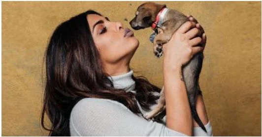 bollywood actress pet