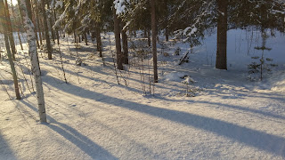 talviloman tiskirätti