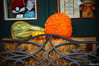 fall pumpkin & gourd decor photo by mbgphoto