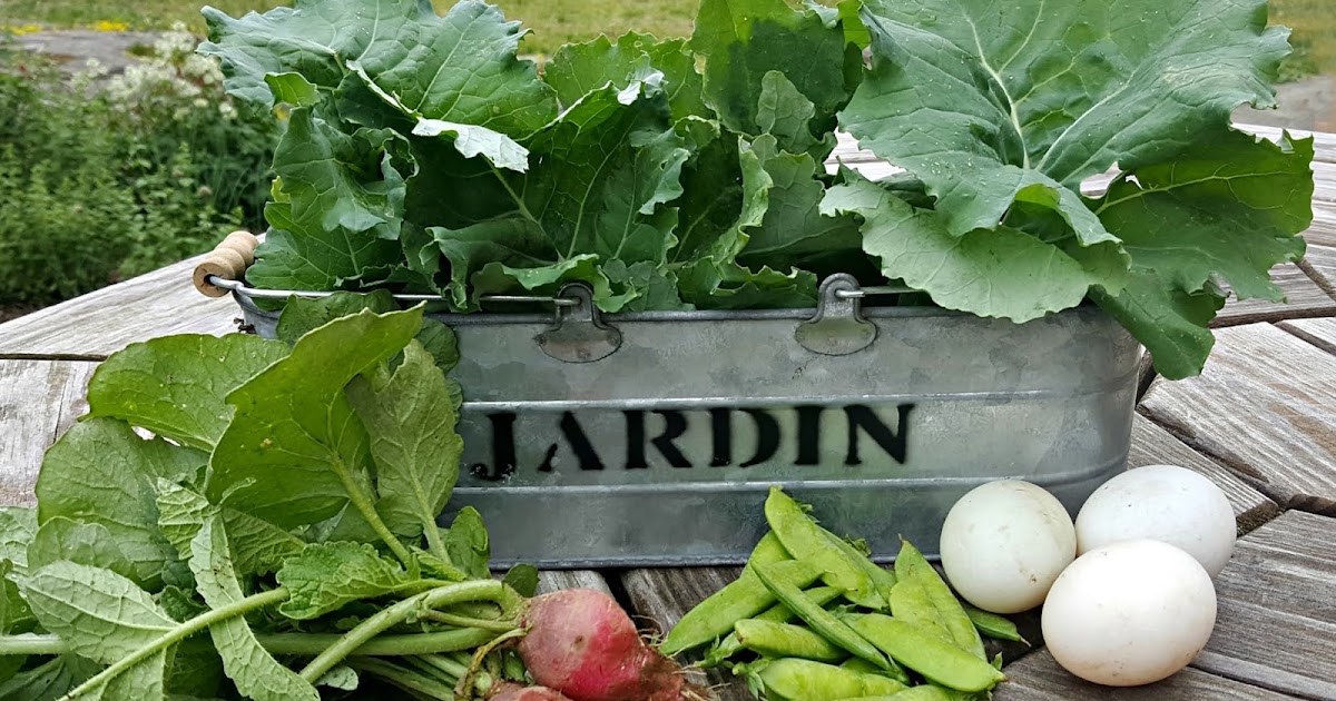 Gardening Fresh Eggs Daily®