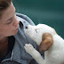 How to be a Responsible Pet Owner