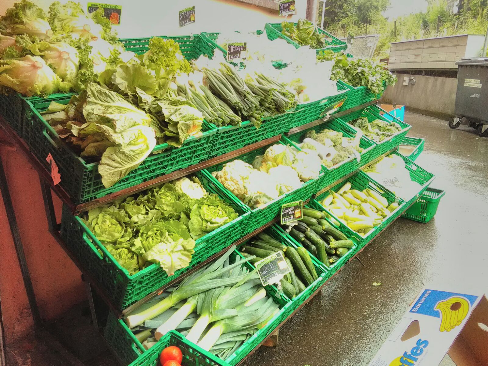 UNDERSTANDING AND DEVELOPING MARKETING STRATEGIES FOR YOUR VEGETABLES (Part 1) HYBRID VEGGIES