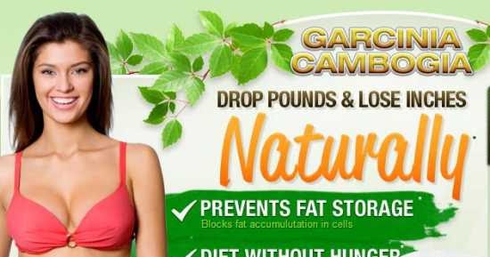 Pure caralluma extract gnc photo 1