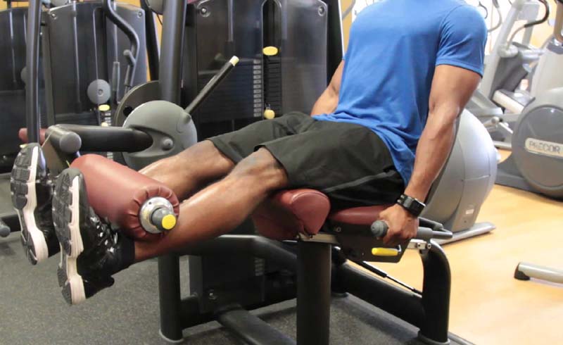 Plus, which is better for you - the squat or leg press?