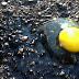 Eggs van with 37000 eggs overturned on flyover