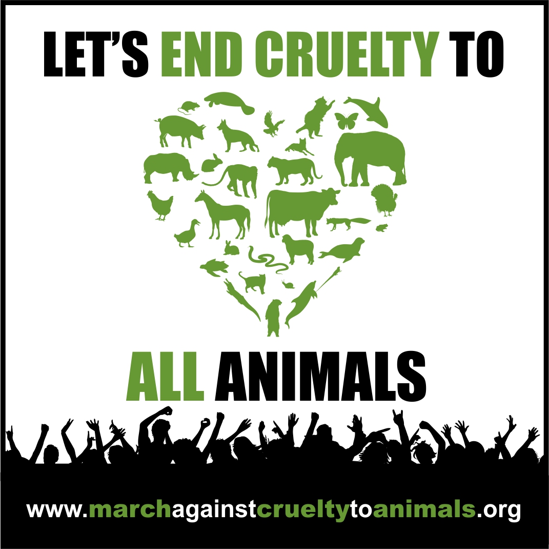 anti animal cruelty organizations