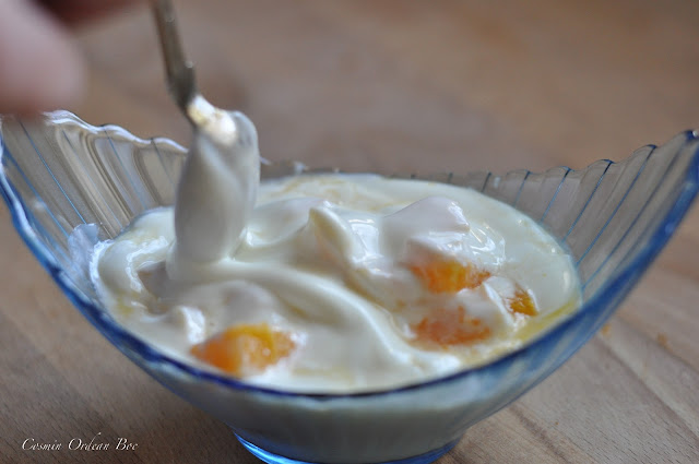 Iaurt cu portocale "handmade"