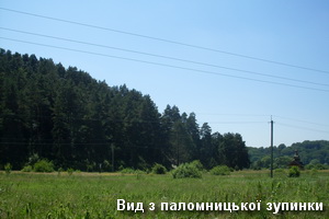 Маршрут до Страдчанської печери - вид з паломницької зупинки Вид з паломницької зупинки в с.Страдч