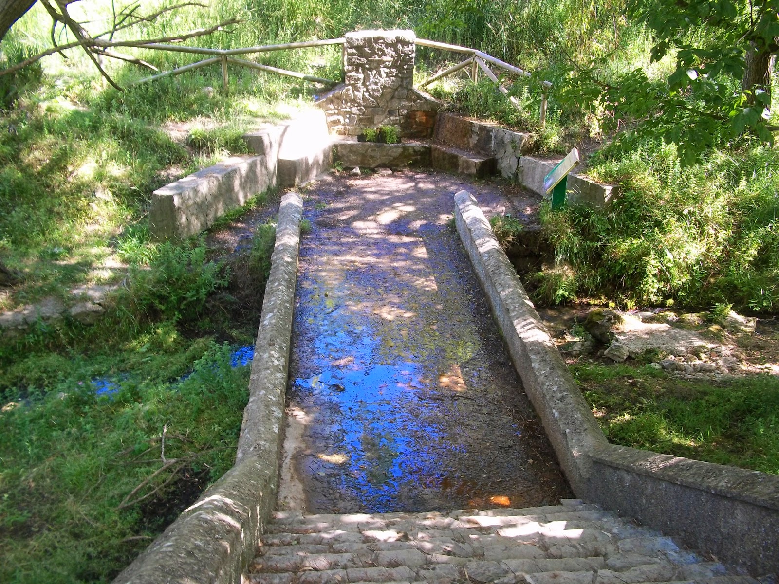 PATAS VERDES UBRIQUE UbriqueGoritoBenamahomaEl Bosque