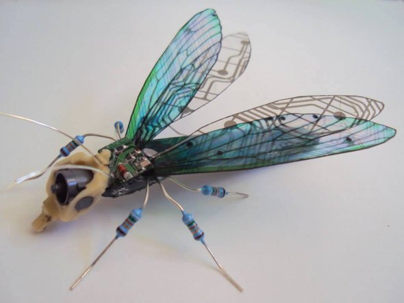 As esculturas de insetos feitos de peças de computador recicladas de Julie Alice Chappell Julie Alice Chappell esculturas insetos mecânicos circuitos computador lixo reciclado metal videogame cores asas borboletas mosquitos