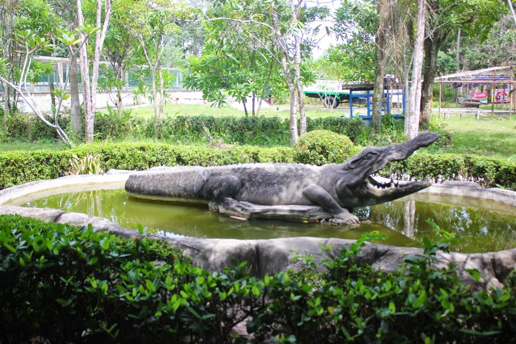 Catatan Harian Prayogi HW: Menjadi Saksi Keluh-Kesah Buaya ...