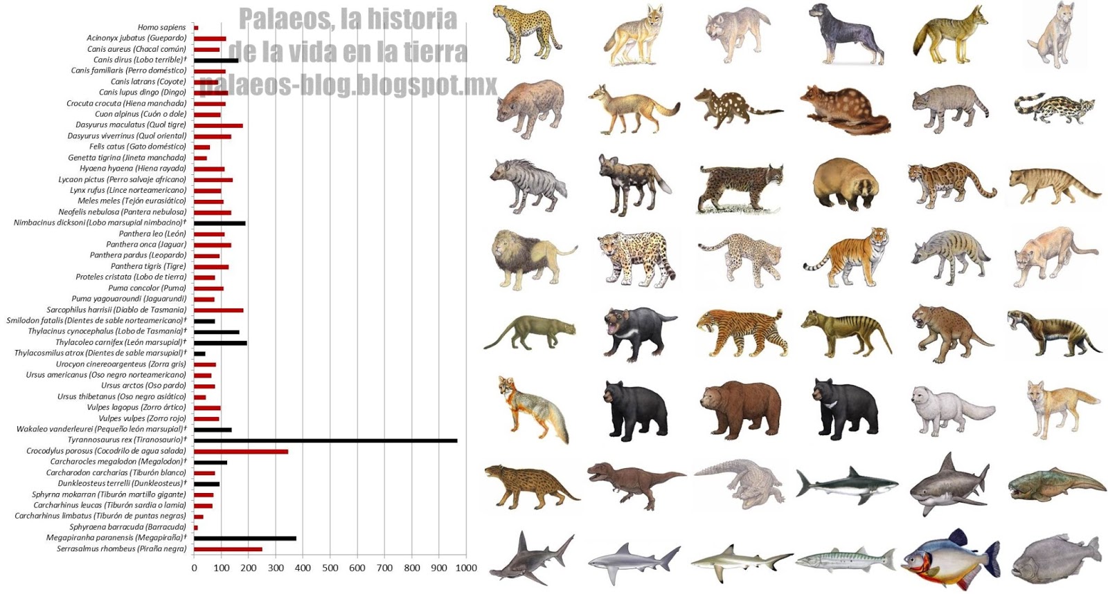 Palaeos, la historia de la Vida
