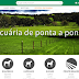 E-Rural, o MAIOR marketplace pecuário do Brasil