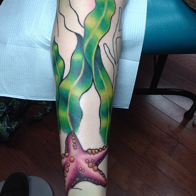 Tatuagens de estrela do mar Tatuagens de estrela do mar