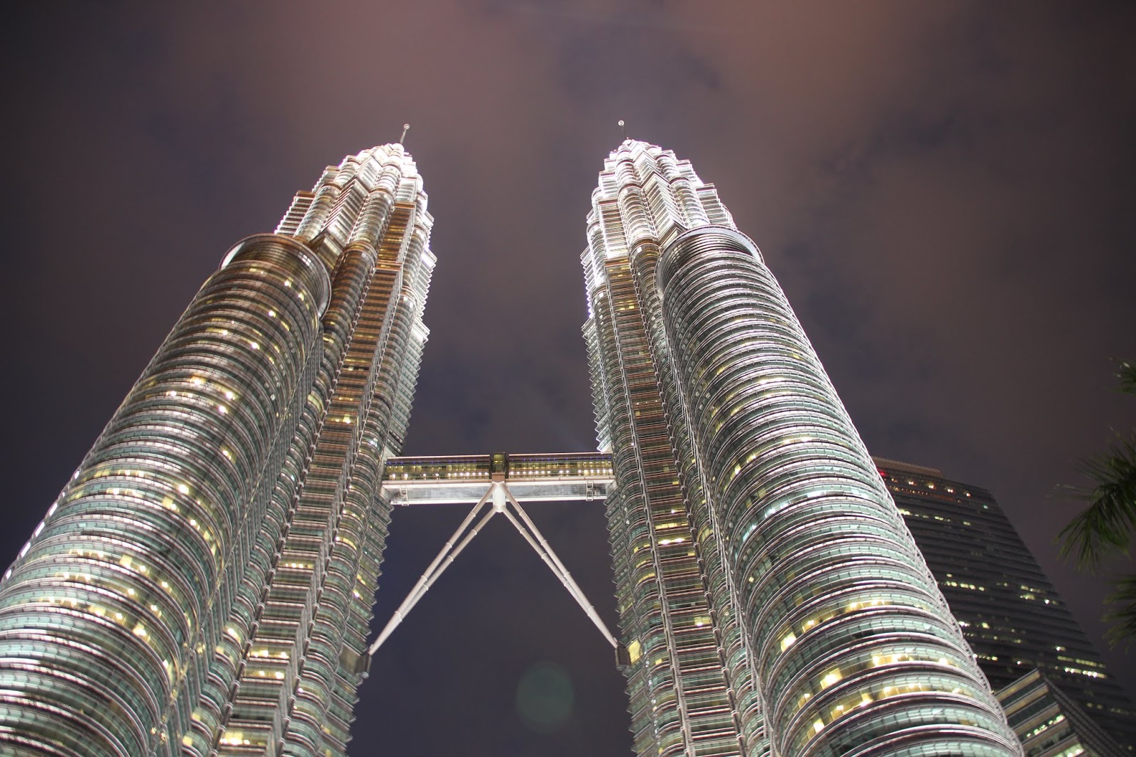 Jacaranda Petronas Towers
