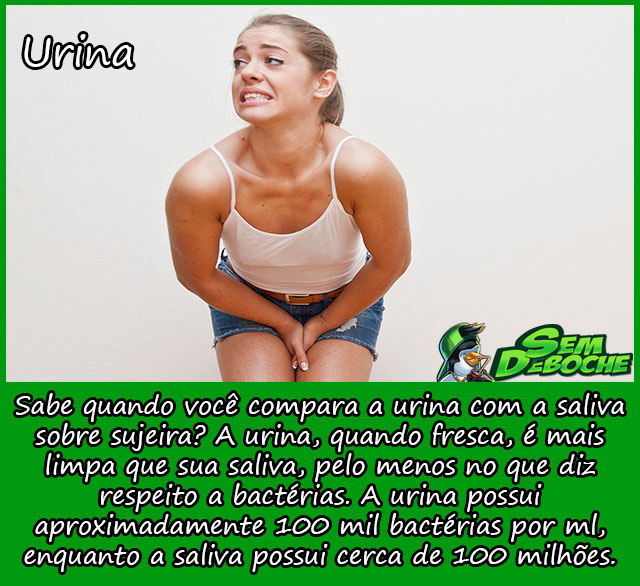 URINA URINA