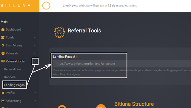 Landing Page Bitluna Landing Page Bitluna