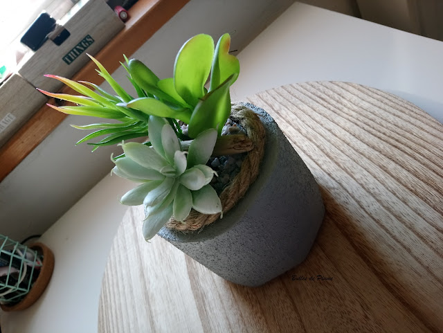 DIY Pot béton Cactus