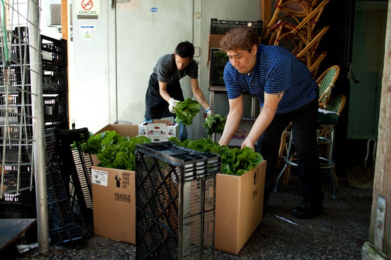 curiosities of change Sustainable Agriculture for The New York Times