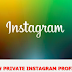Instagram Private Profile Viewer Online