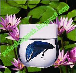 Cara edit foto dan membuat efek transparan tembus pandang menggunakan