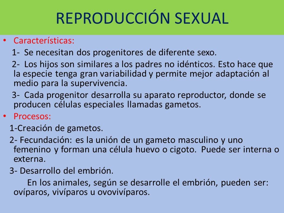Caracteristicas De La Reproduccion Sexuales Actualizado Julio 2022 Porn Sex Picture