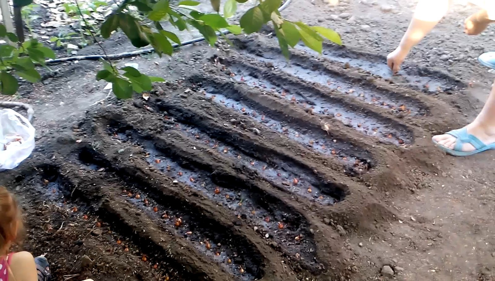 Как сделать мороженое в домашних условиях пломбир с фото 635