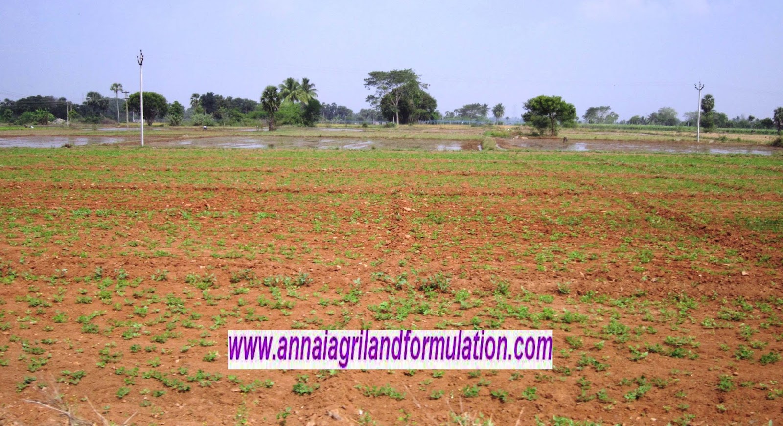 AGRI LANDS