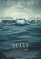 Sully: Hazaña en el Hudson ( 2016 ) Sully: Hazaña en el Hudson