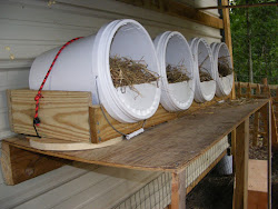 chicken coop easy roost clean coops pvc they poop cleaning chickens never ve seem which though even diy backyard boxes