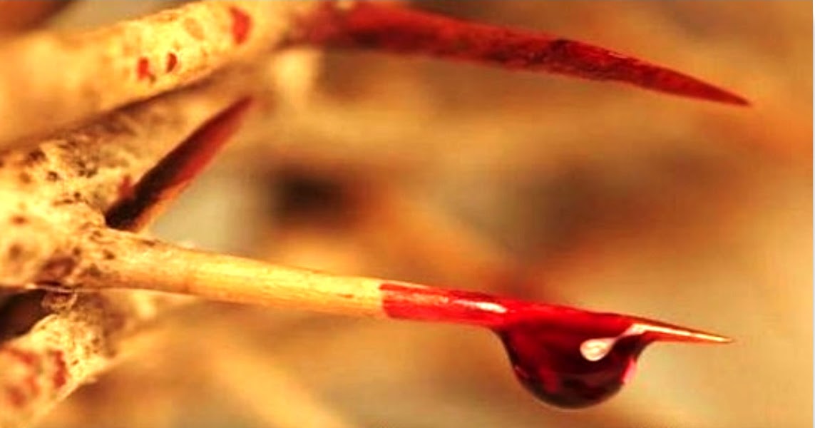 Mystics of the Church: Jesus blood type