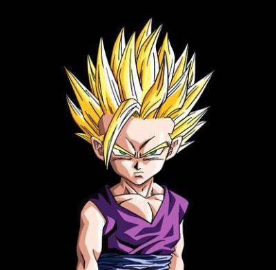 Les personnages principaux de dragon ball z